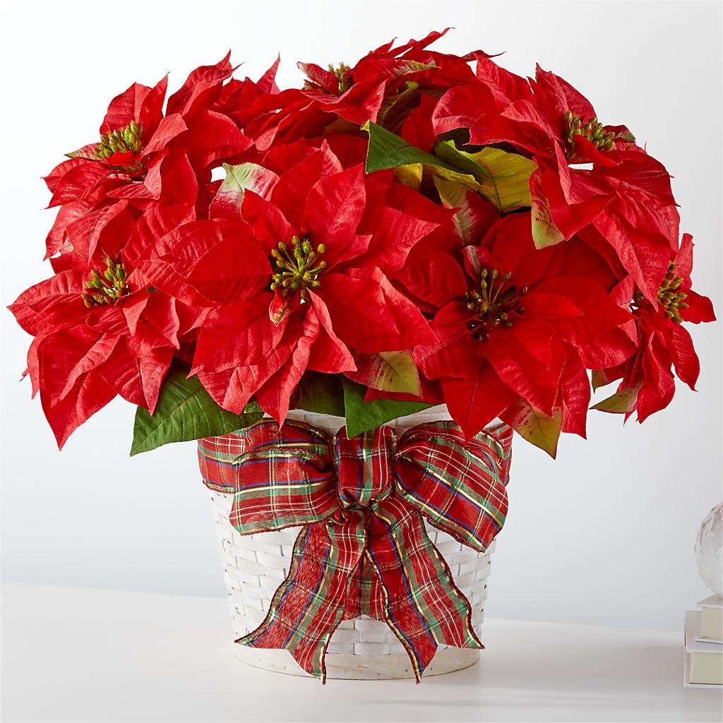 Happiest Holidays Poinsettia – Day Dream Bokay Llc, Jonesborough TN