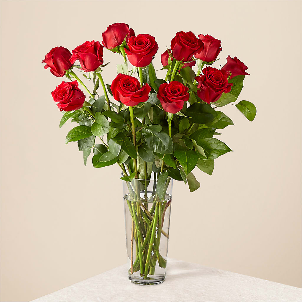 Long Stem Red Rose Bouquet – Day Dream Bokay Llc, Jonesborough TN