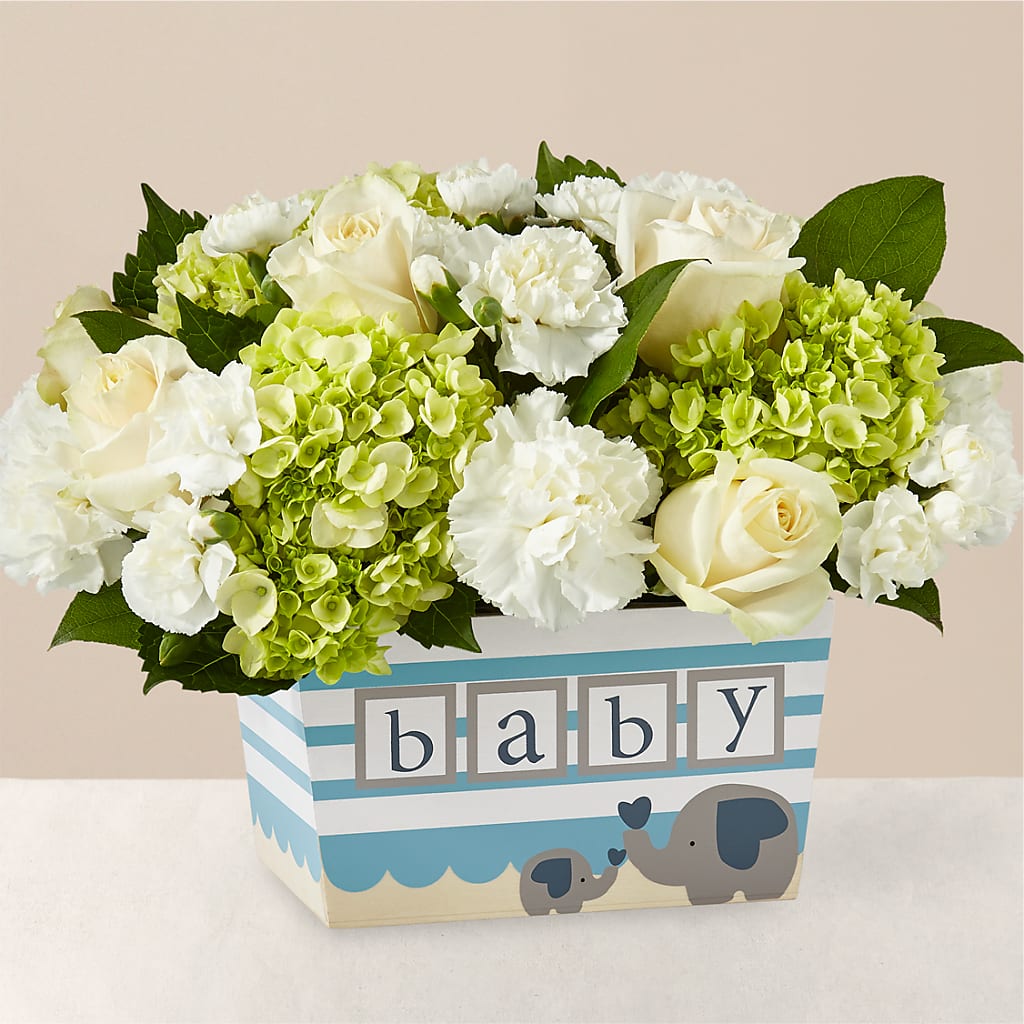 Darling Baby Boy Bouquet – Day Dream Bokay Llc, Jonesborough TN