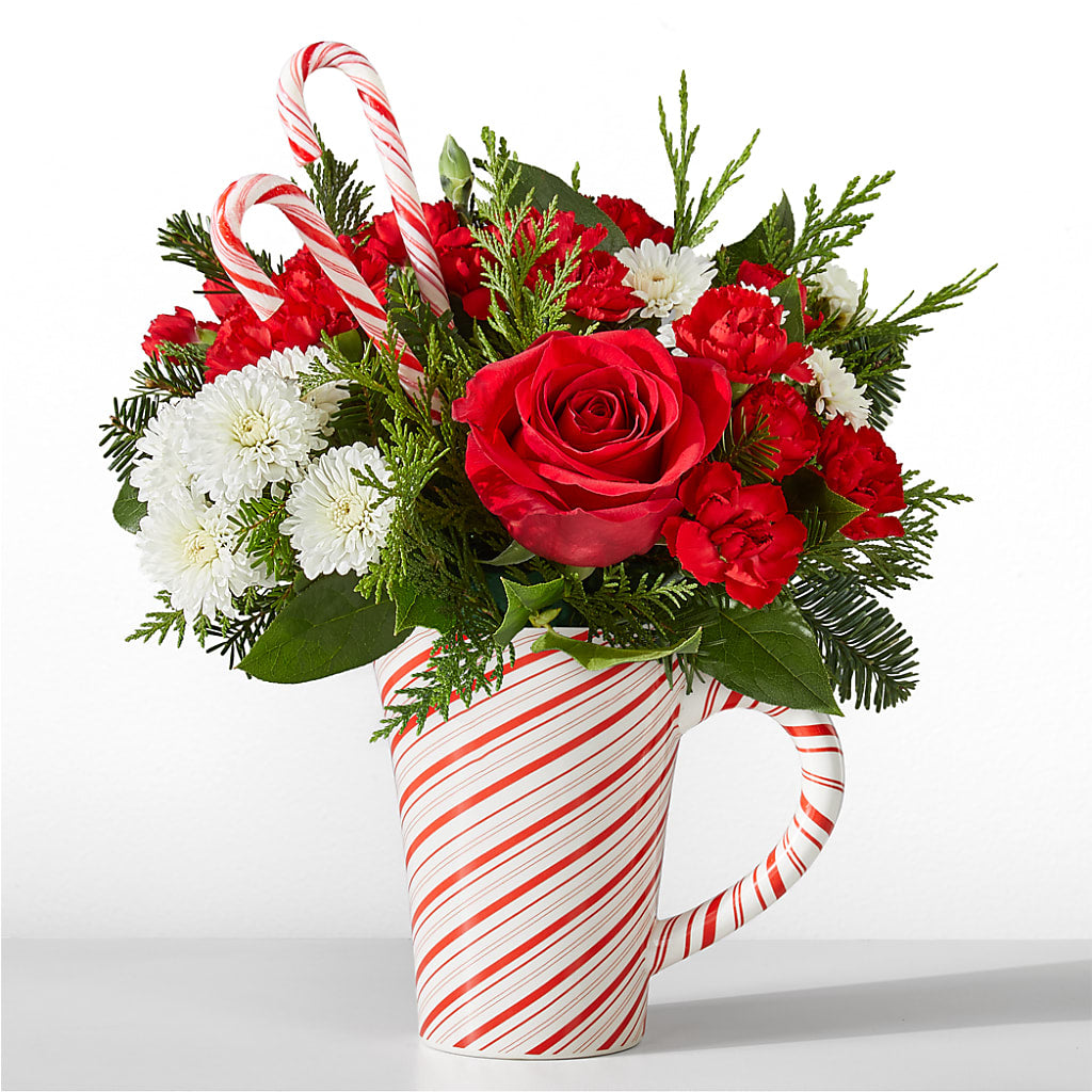 Peppermint Swirl Mug – Day Dream Bokay Llc, Jonesborough TN