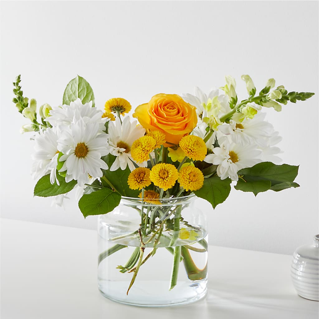 Sun Salutation Bouquet – Day Dream Bokay Llc, Jonesborough TN
