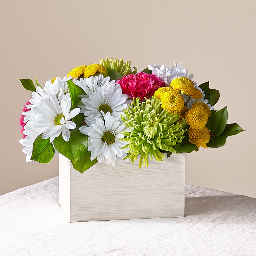 Sorbet Bouquet – Day Dream Bokay Llc, Jonesborough TN