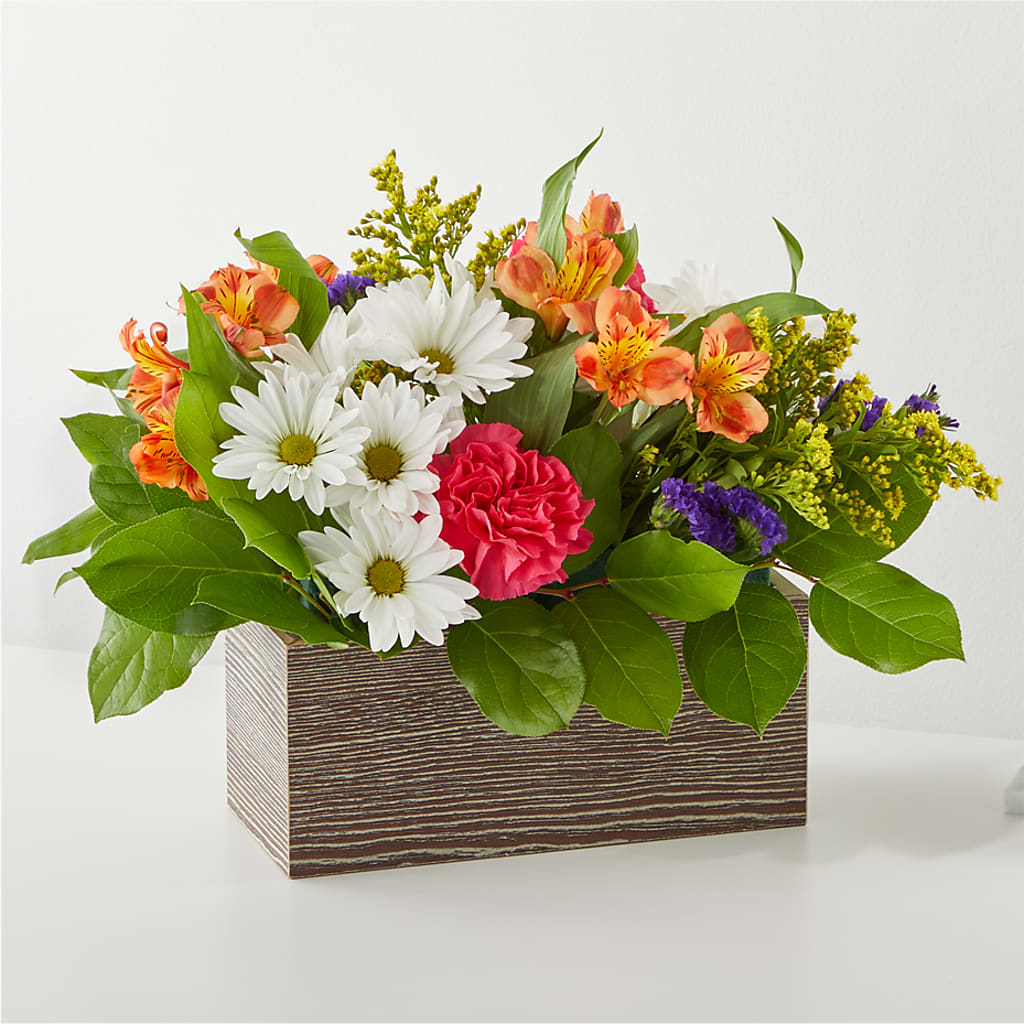 Oopsie Daisy Box Bouquet – Day Dream Bokay Llc, Jonesborough TN