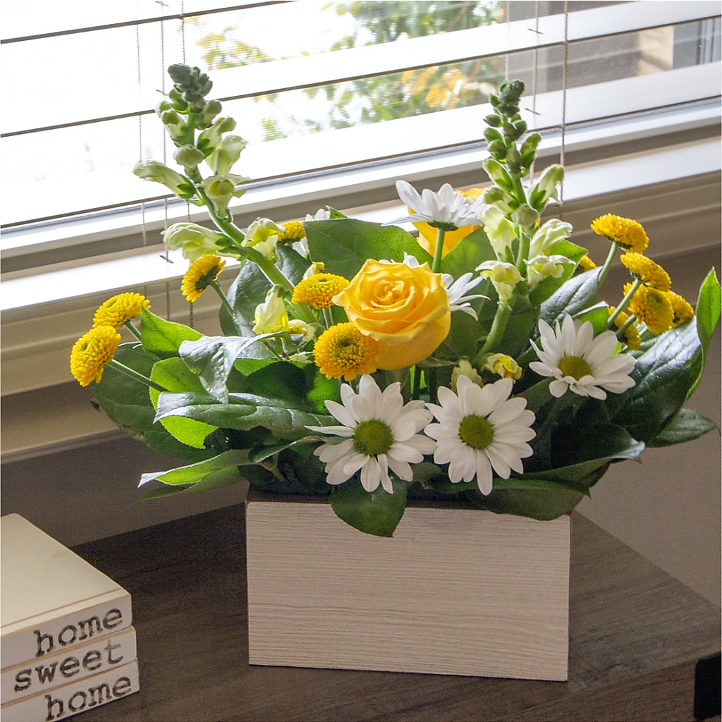 Sun Salutation Box Bouquet – Day Dream Bokay Llc, Jonesborough TN