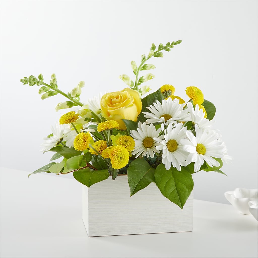 Sun Salutation Box Bouquet – Day Dream Bokay Llc, Jonesborough TN