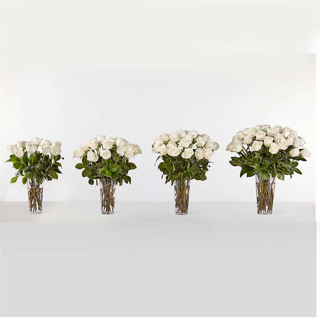 Long Stem White Rose Bouquet – Day Dream Bokay Llc, Jonesborough TN