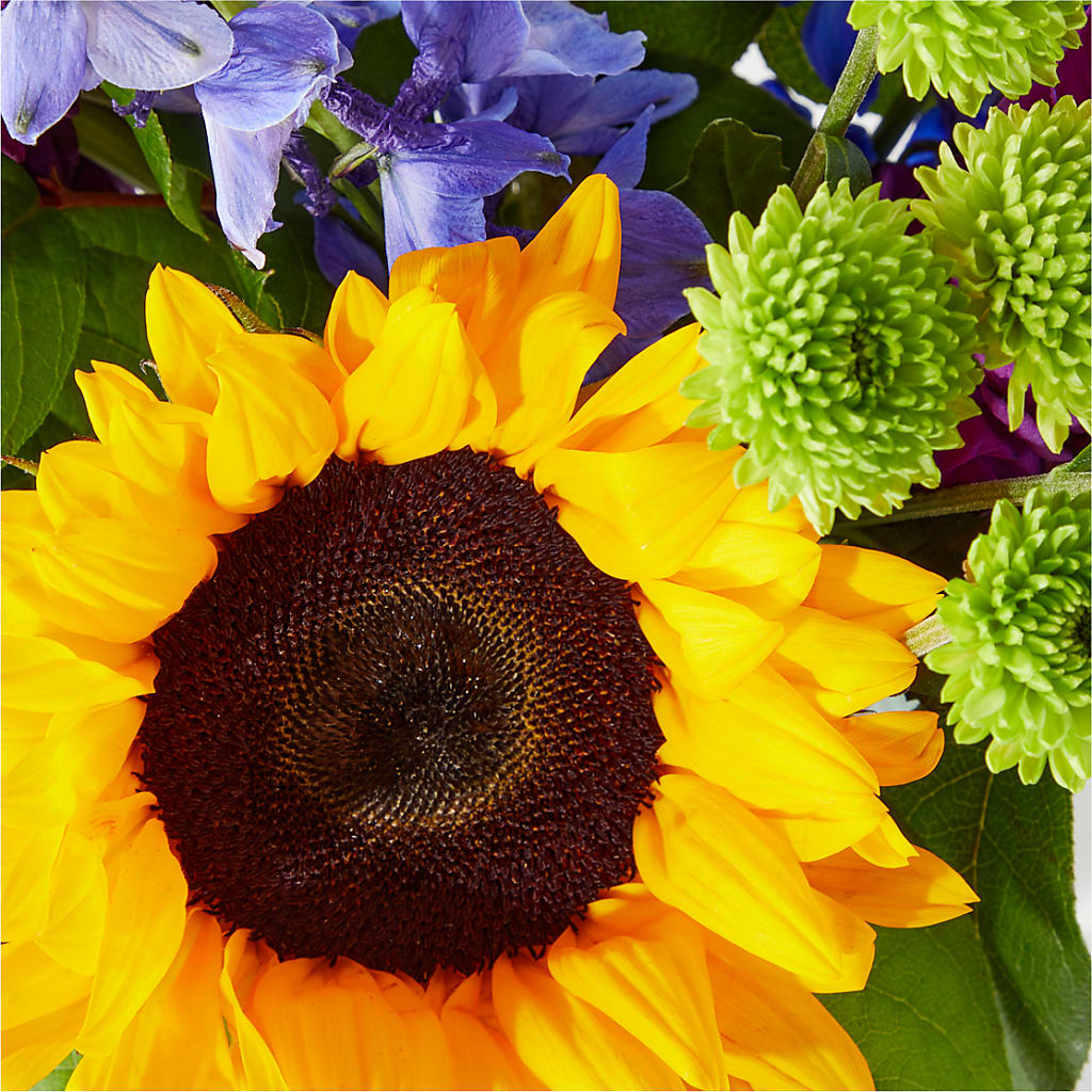 Catching Rays Bouquet – Day Dream Bokay Llc, Jonesborough TN