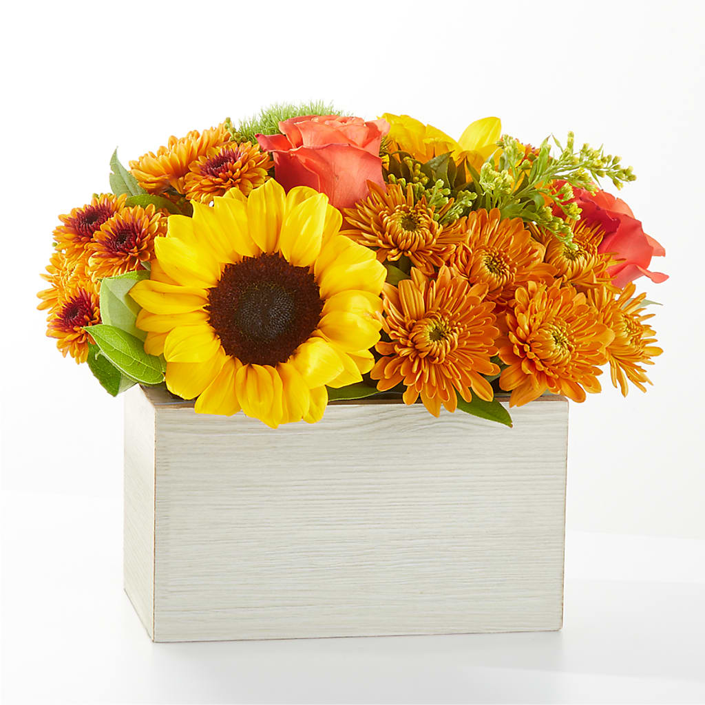 Farmer’s Market Stroll Bouquet – Day Dream Bokay Llc, Jonesborough TN