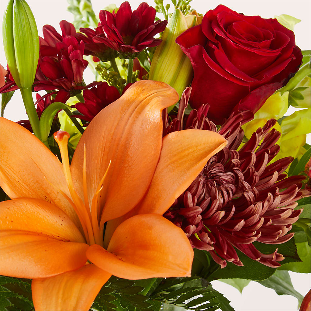Sweater Season - A Florist Original – Day Dream Bokay Llc, Jonesborough TN