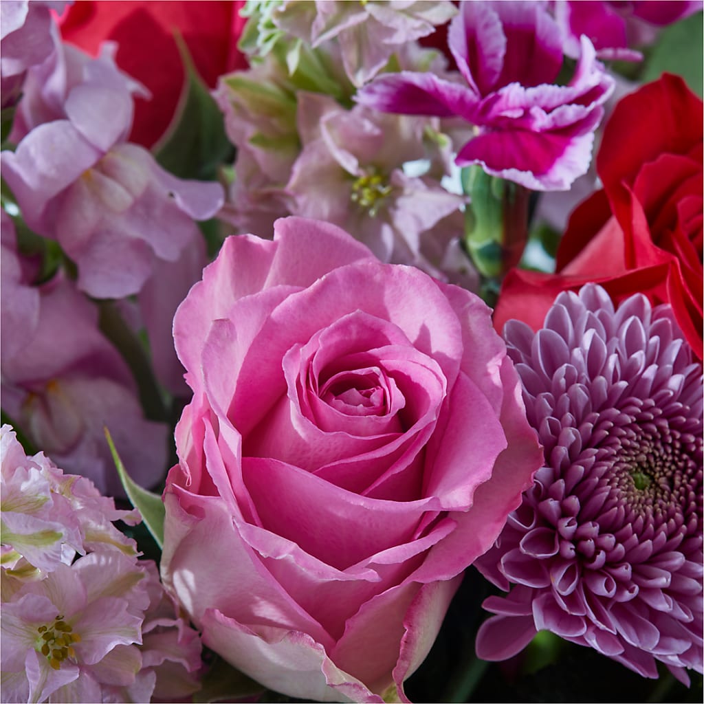 Better Together - A Luxury Florist Original – Day Dream Bokay Llc, Jonesborough TN