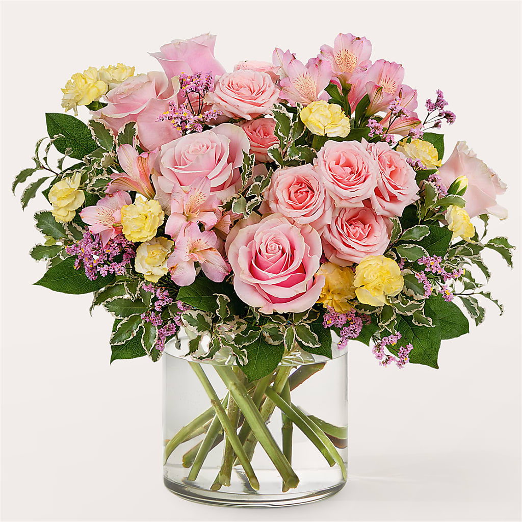 Refreshed Bouquet – Day Dream Bokay Llc, Jonesborough TN