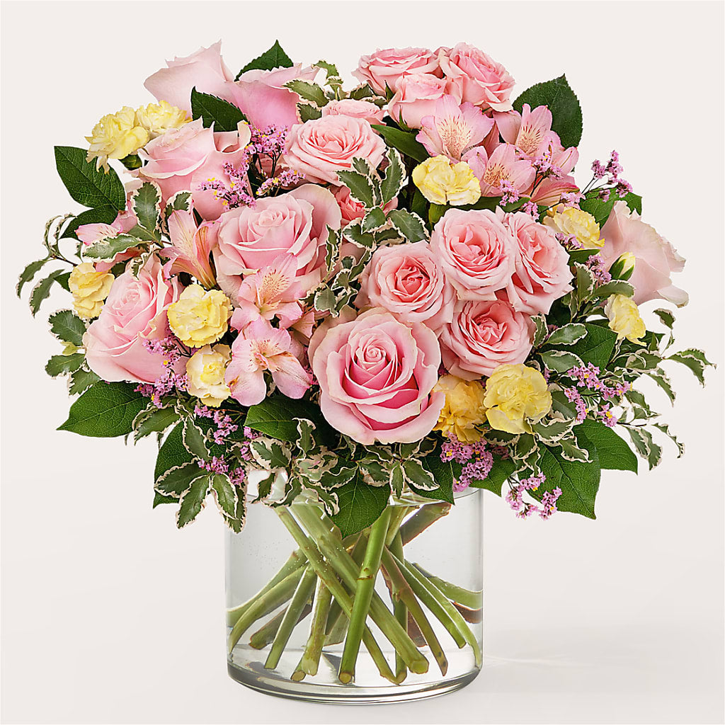 Refreshed Bouquet – Day Dream Bokay Llc, Jonesborough TN