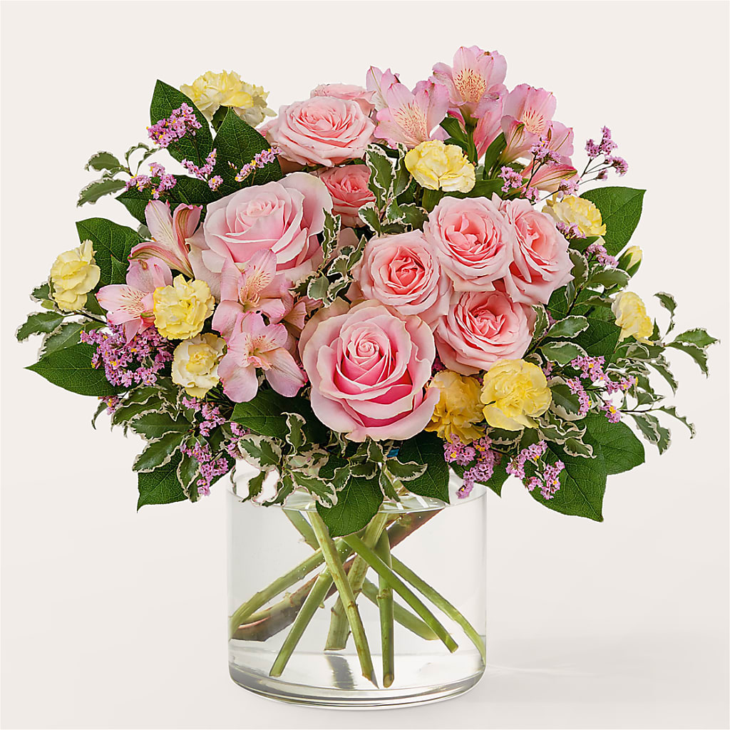 Refreshed Bouquet – Day Dream Bokay Llc, Jonesborough TN