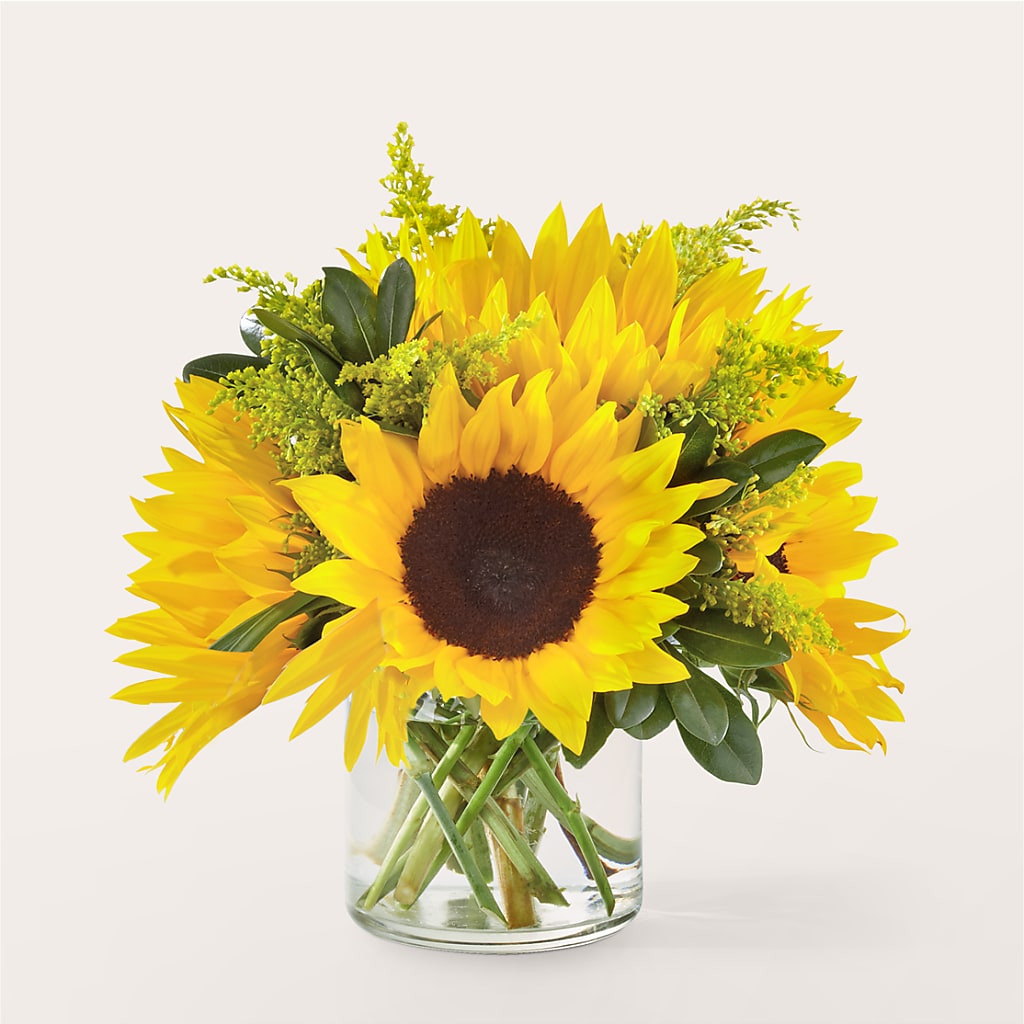 Beaming Sunflower Bouquet – Day Dream Bokay Llc, Jonesborough TN