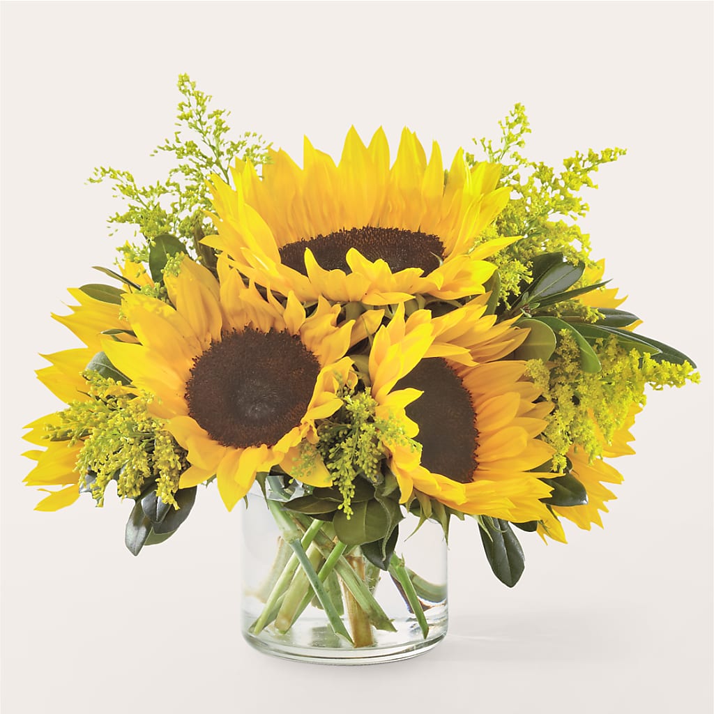 Beaming Sunflower Bouquet – Day Dream Bokay Llc, Jonesborough TN