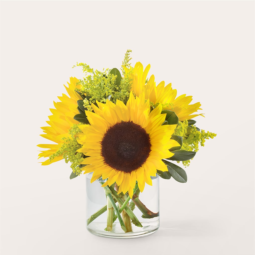 Beaming Sunflower Bouquet – Day Dream Bokay Llc, Jonesborough TN