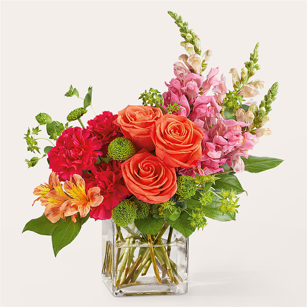 Cosmopolitan Bouquet – Day Dream Bokay Llc, Jonesborough TN