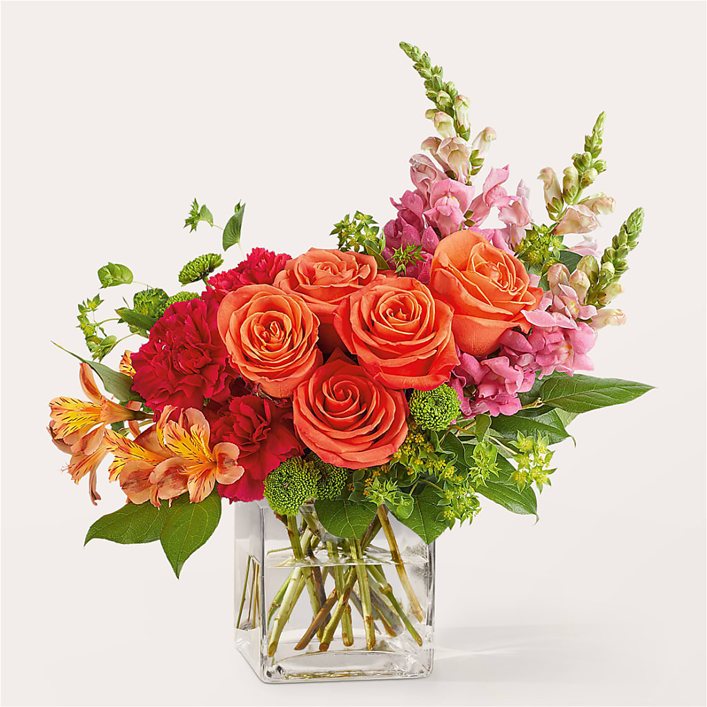 Cosmopolitan Bouquet – Day Dream Bokay Llc, Jonesborough TN