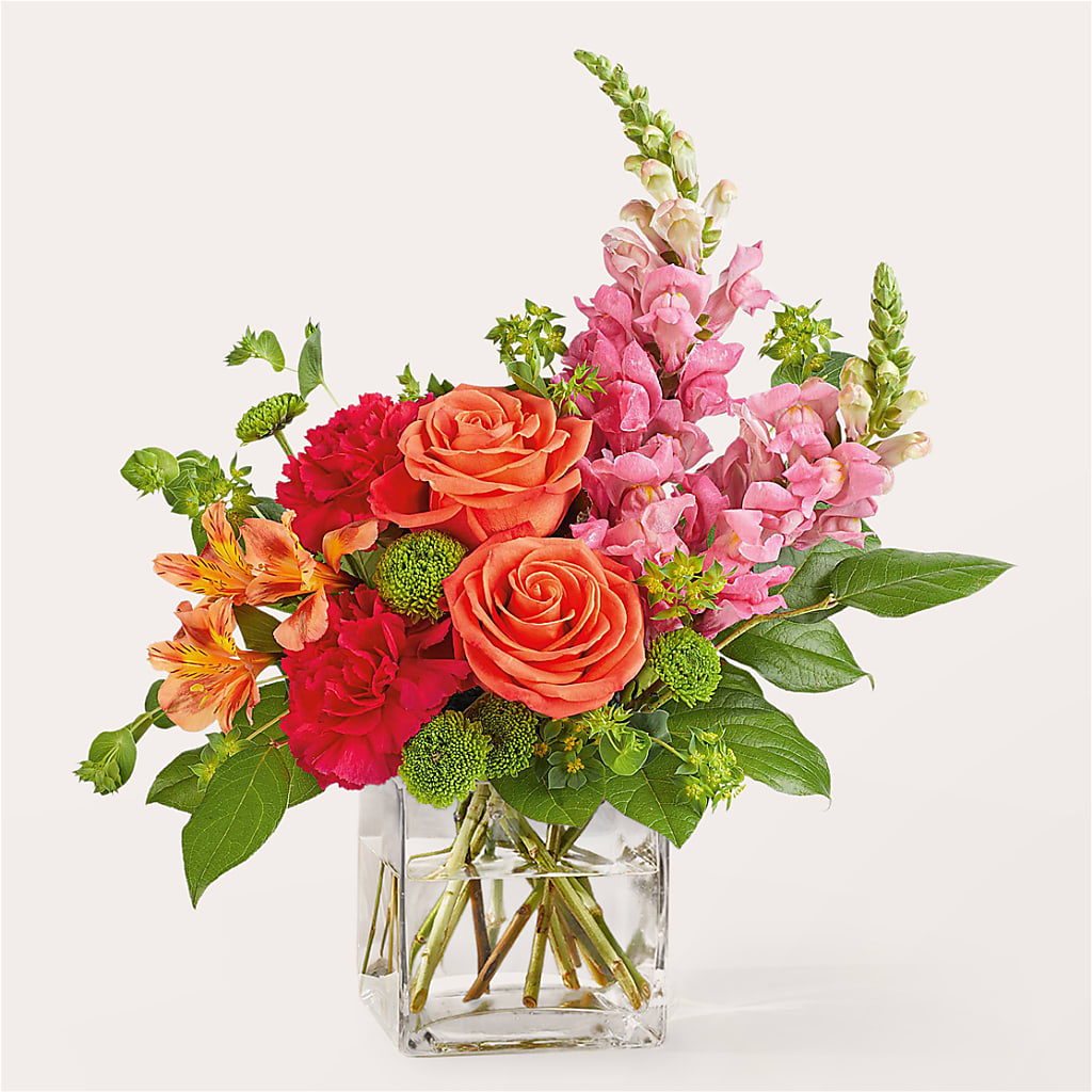 Cosmopolitan Bouquet – Day Dream Bokay Llc, Jonesborough TN