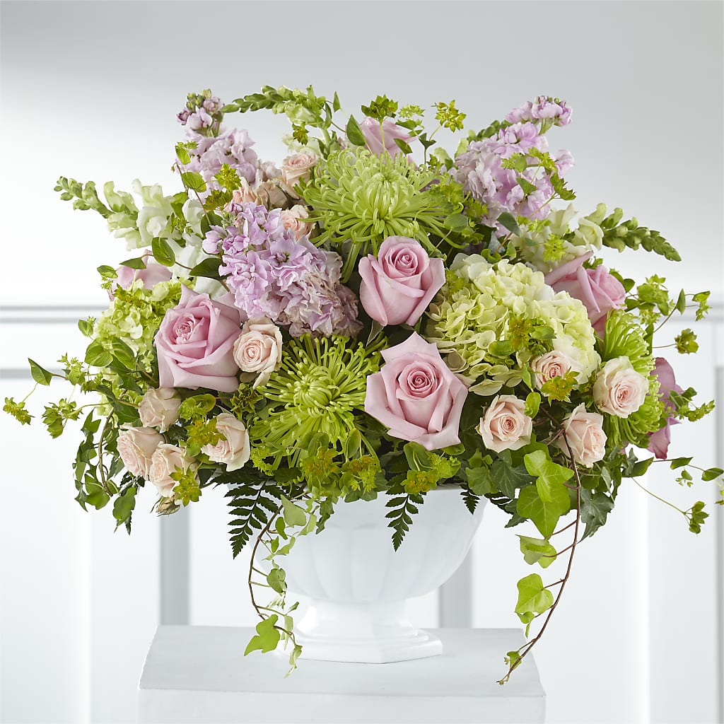 Radiant Embrace Arrangement – Day Dream Bokay Llc, Jonesborough TN