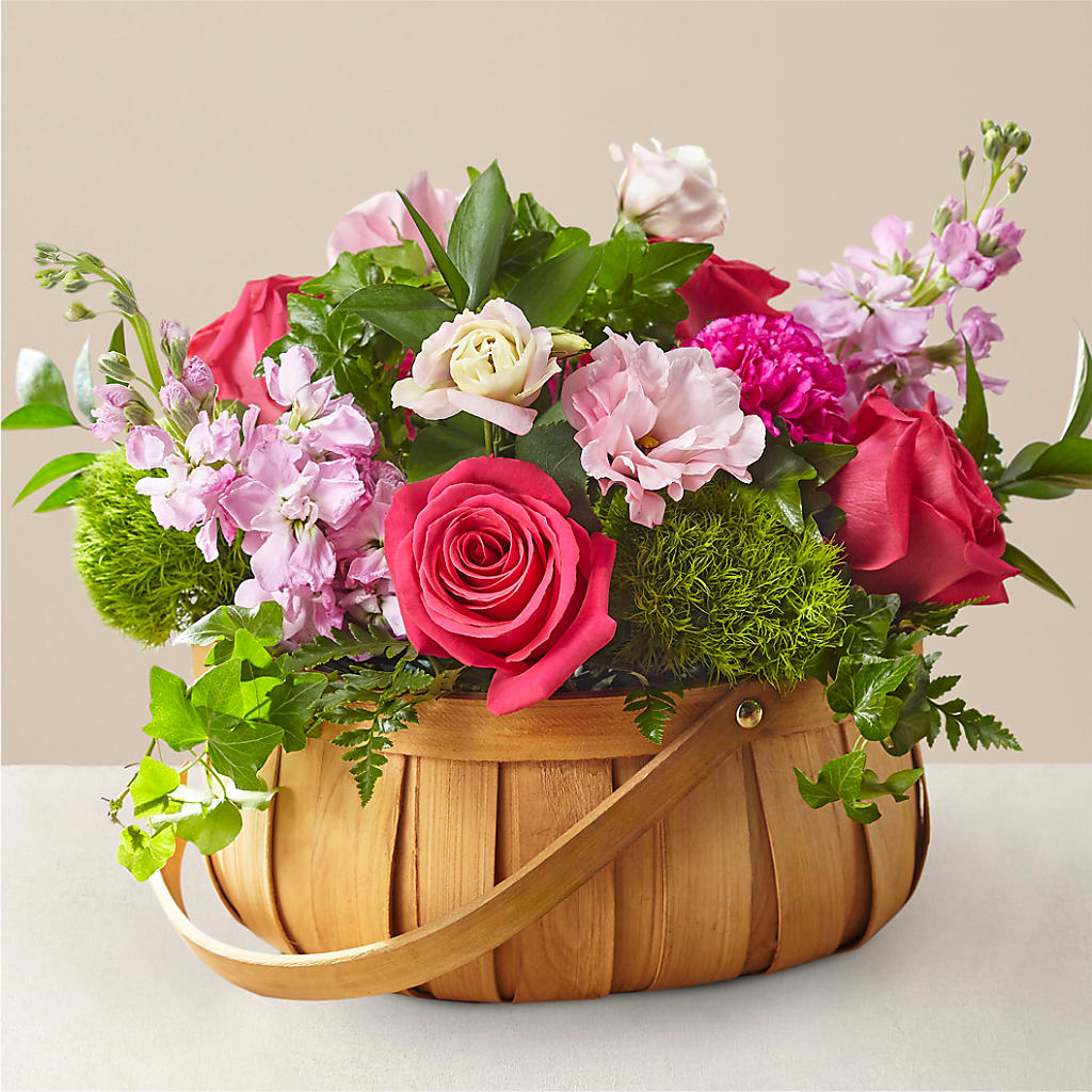 Radiance in Bloom Basket – Day Dream Bokay Llc, Jonesborough TN