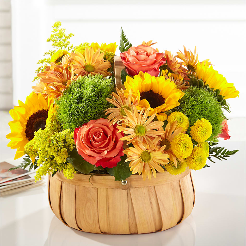 Harvest Sunflower Basket – Day Dream Bokay Llc, Jonesborough TN