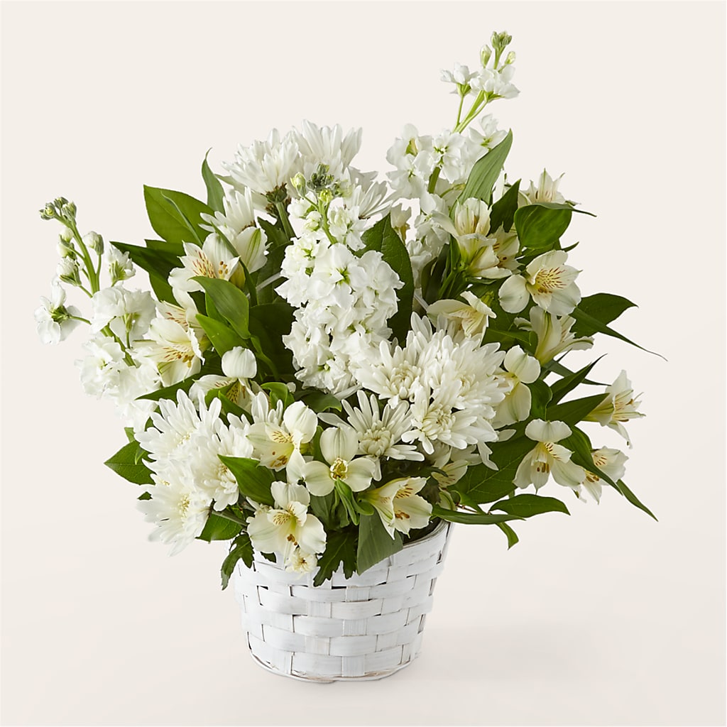 Eternal Affection Arrangement – Day Dream Bokay Llc, Jonesborough TN