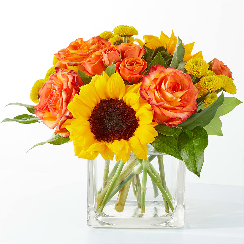 Picnic in the Park Bouquet – Day Dream Bokay Llc, Jonesborough TN