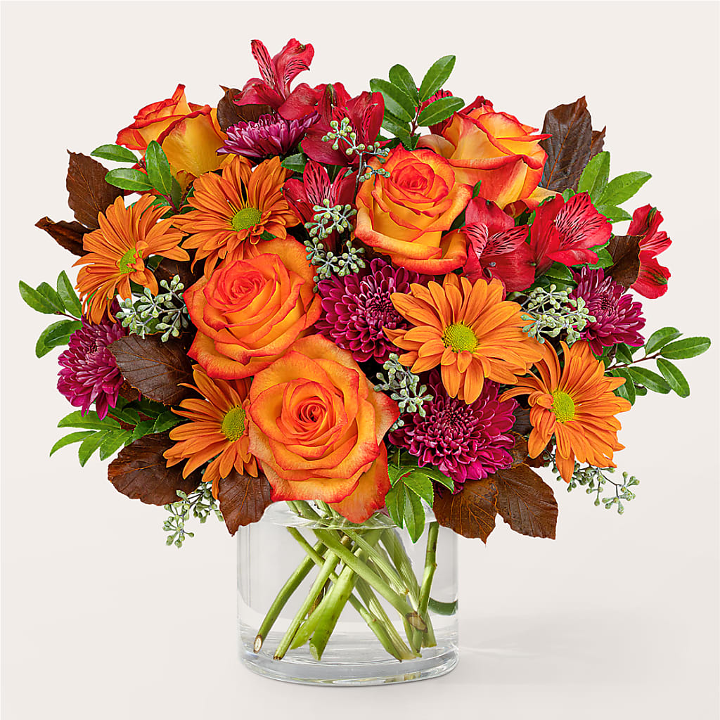 Brisk Morning Bouquet – Day Dream Bokay Llc, Jonesborough TN