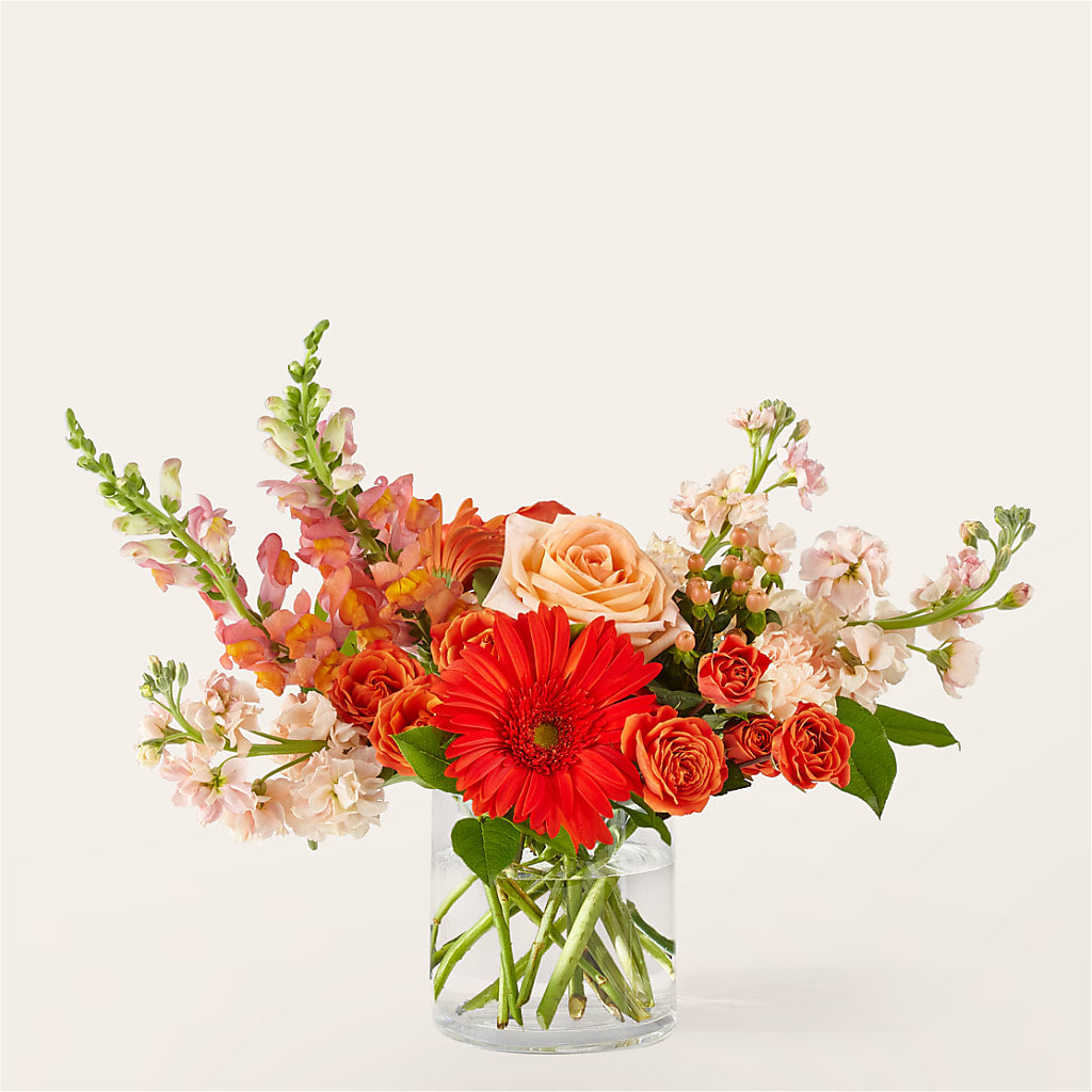 Paloma Please Bouquet – Day Dream Bokay Llc, Jonesborough TN