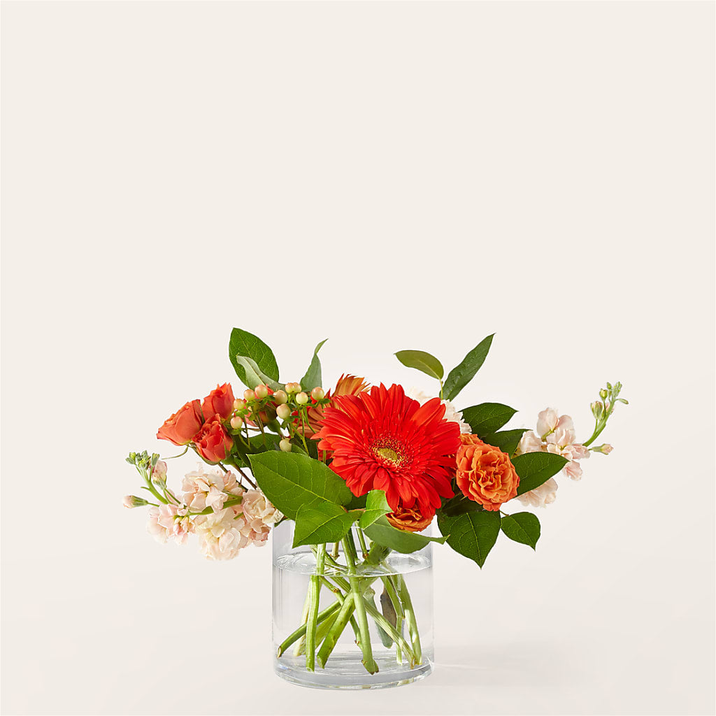 Paloma Please Bouquet – Day Dream Bokay Llc, Jonesborough TN