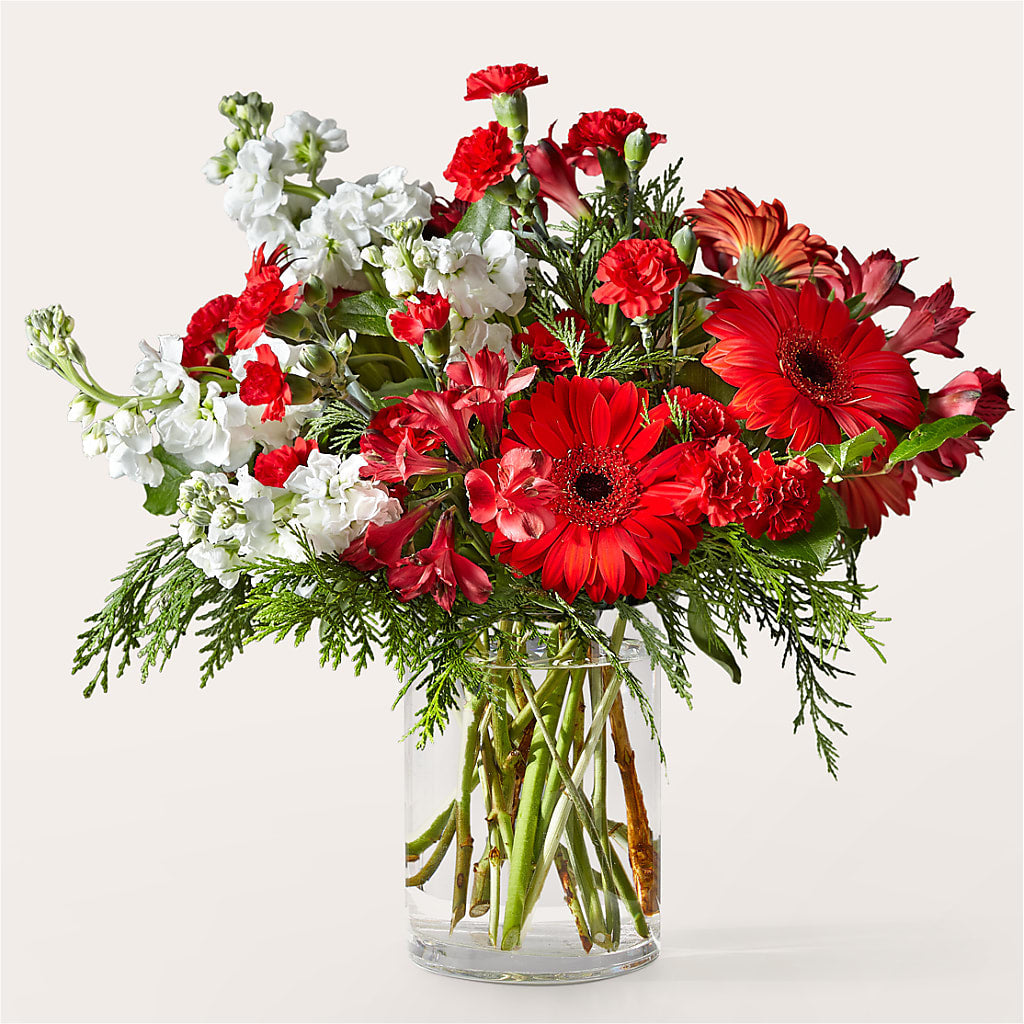 Holidaisy Bouquet – Day Dream Bokay Llc, Jonesborough TN
