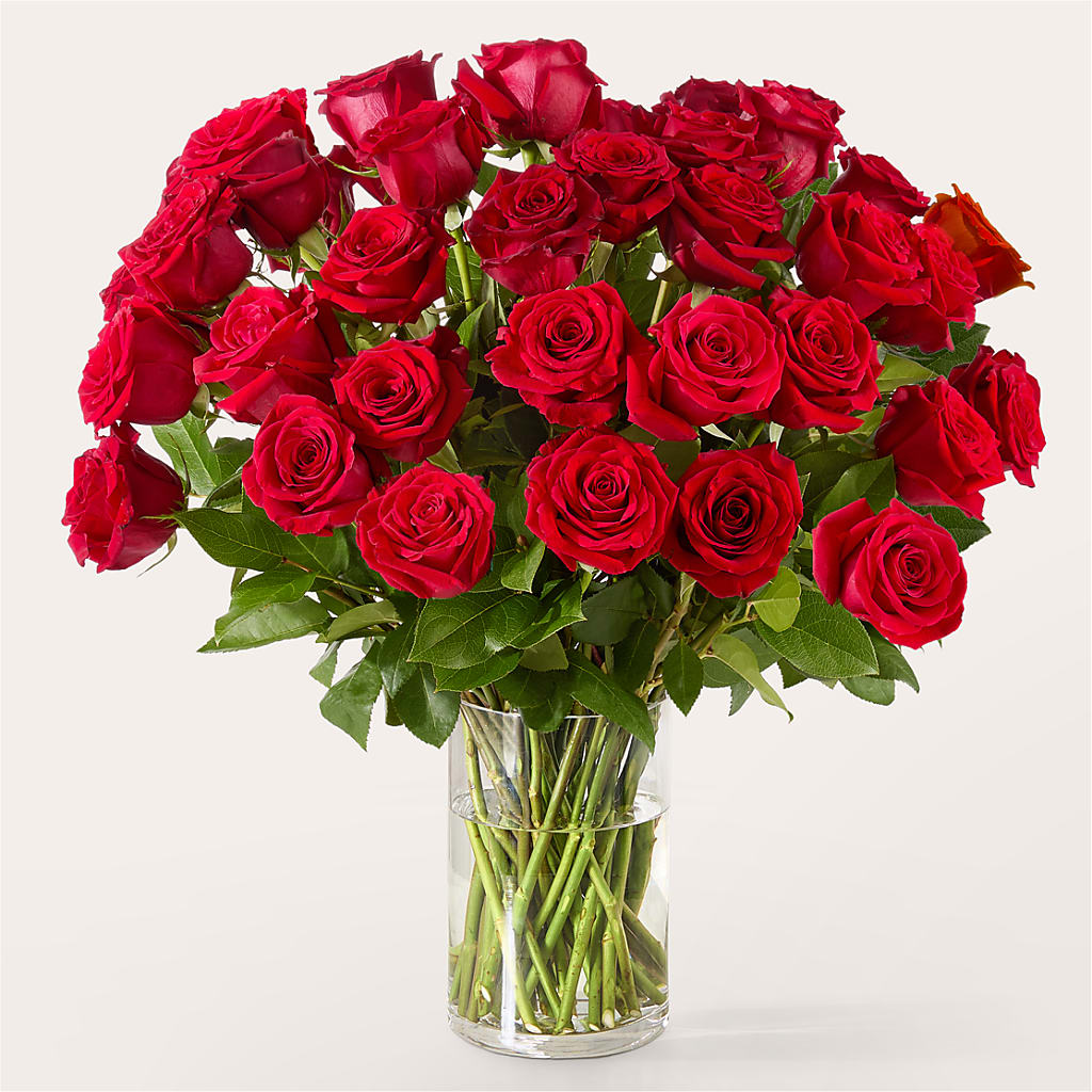The One Red Rose Bouquet – Day Dream Bokay Llc, Jonesborough TN