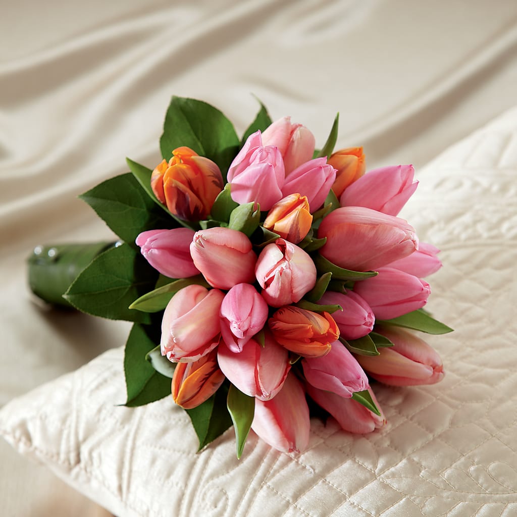 Embraceable Bouquet – Day Dream Bokay Llc, Jonesborough TN