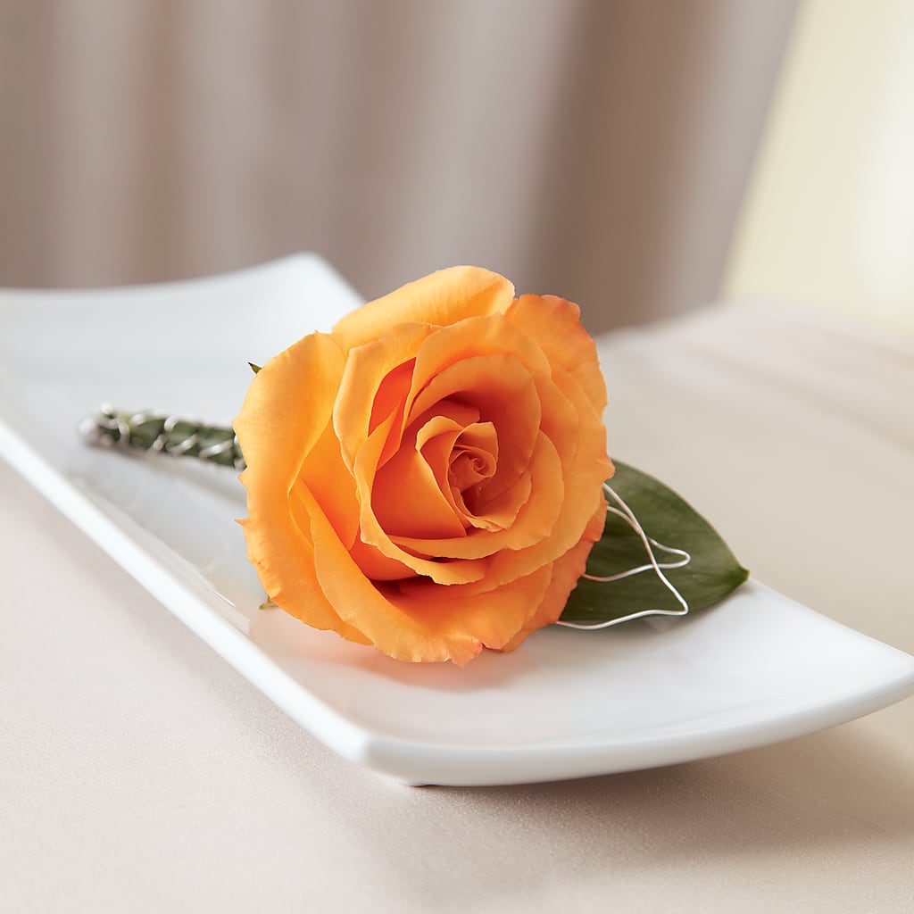 Lifetime of Love Boutonniere – Day Dream Bokay Llc, Jonesborough TN