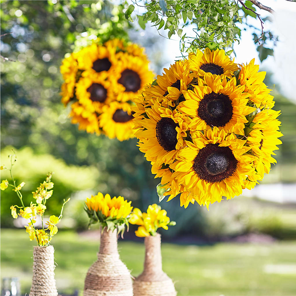 Sublime Garden Hanging Arrangement – Day Dream Bokay Llc, Jonesborough TN