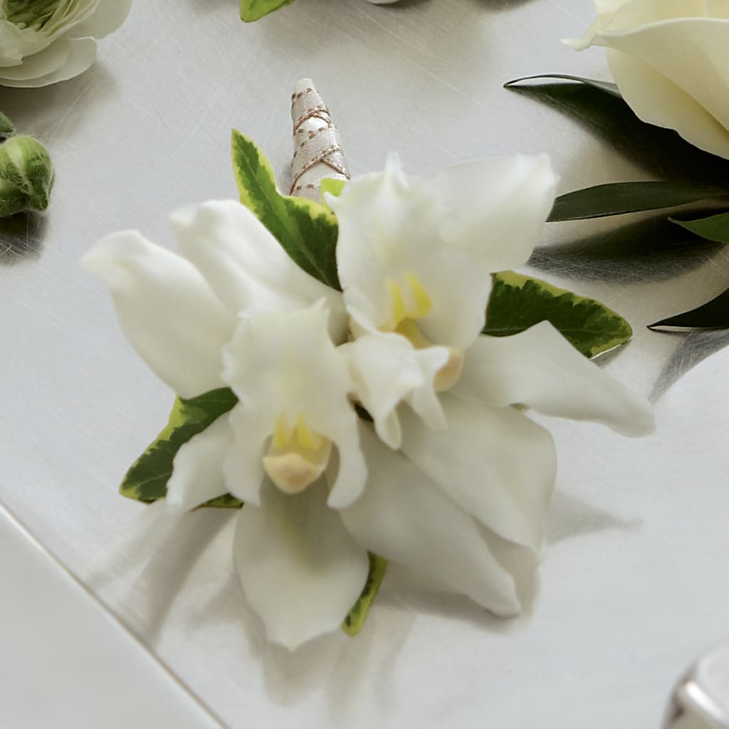 White Mini Cymbidium Boutonniere – Day Dream Bokay Llc, Jonesborough TN