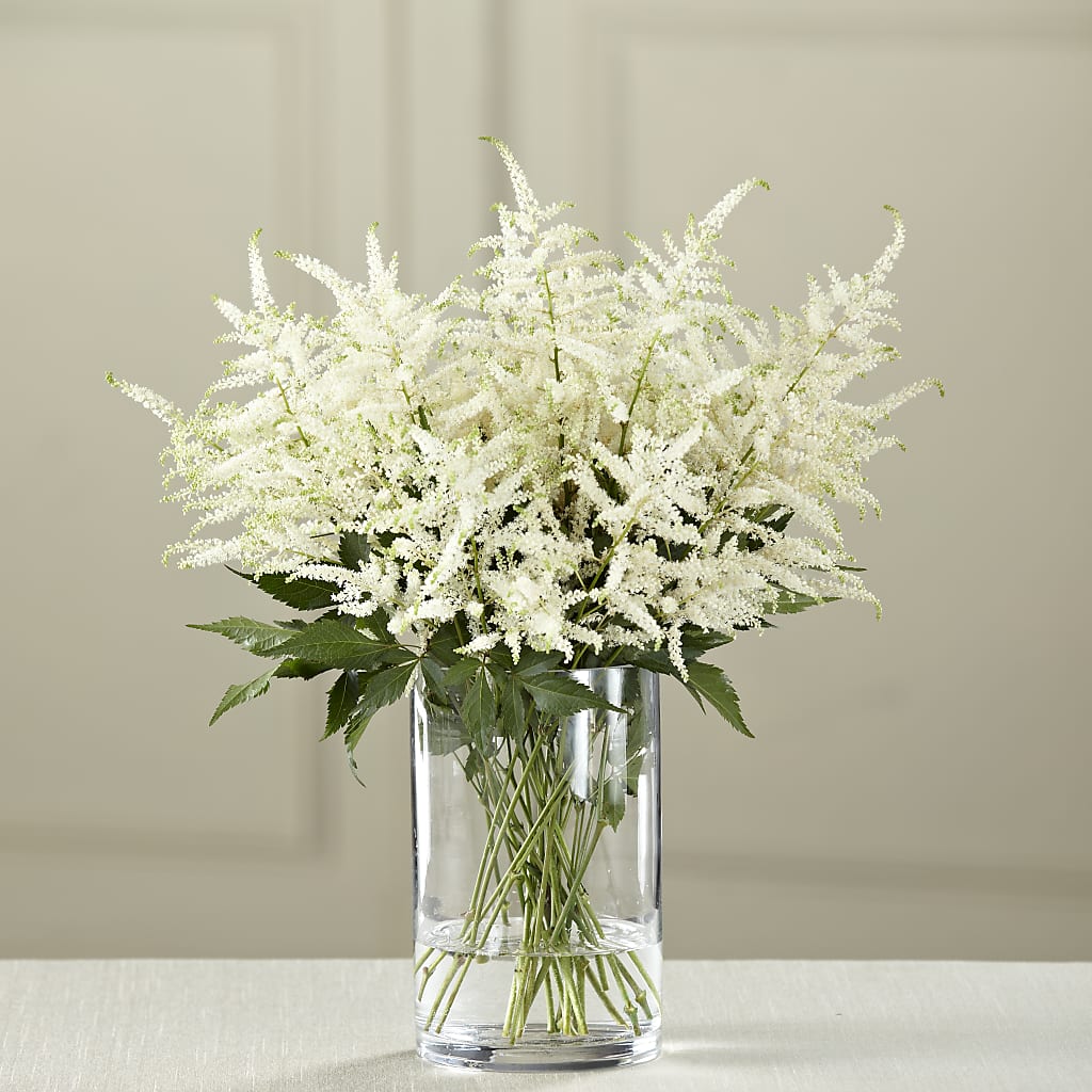 White Astilbe Bouquet – Day Dream Bokay Llc, Jonesborough TN