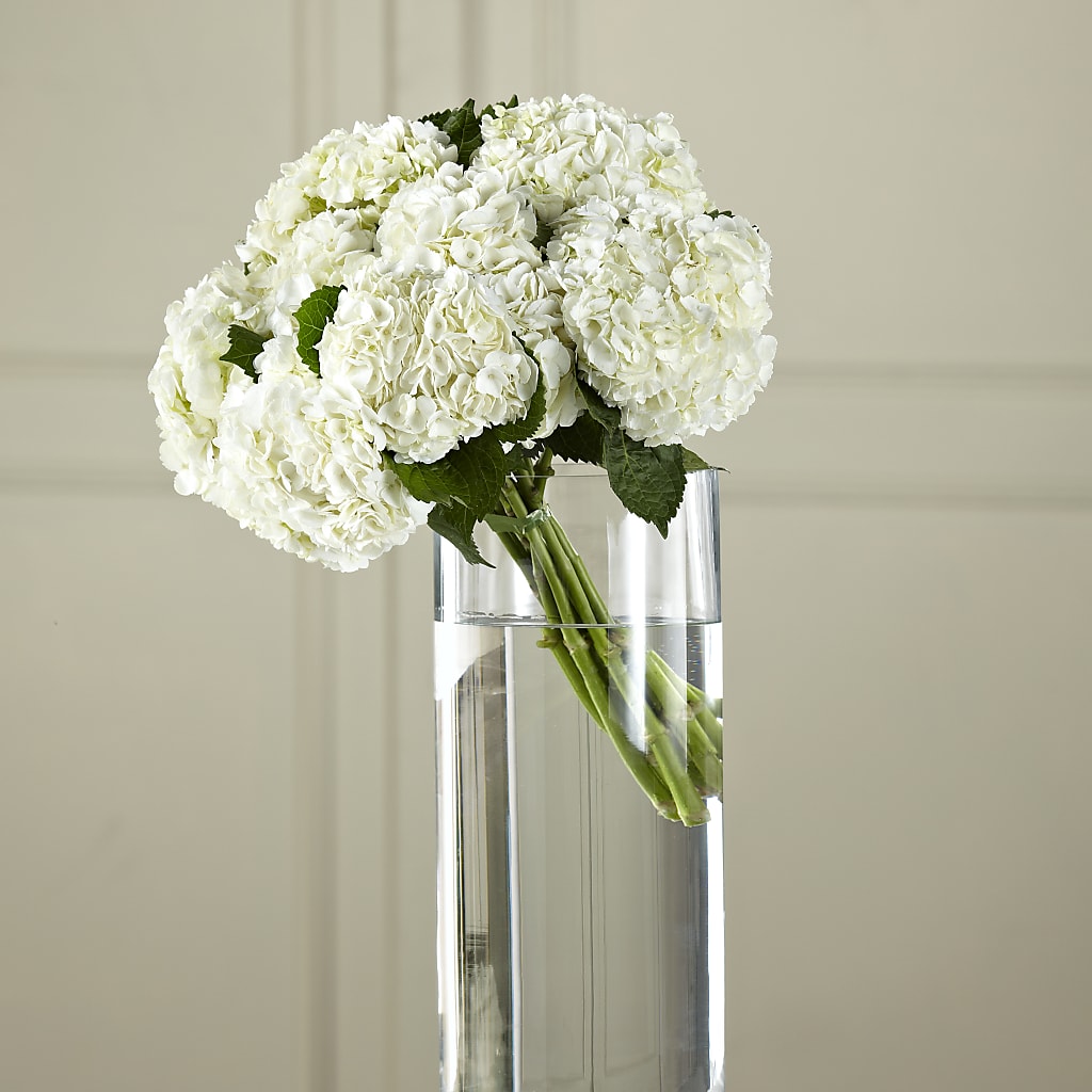 White Hydrangea Hand-Tied Bouquet – Day Dream Bokay Llc, Jonesborough TN