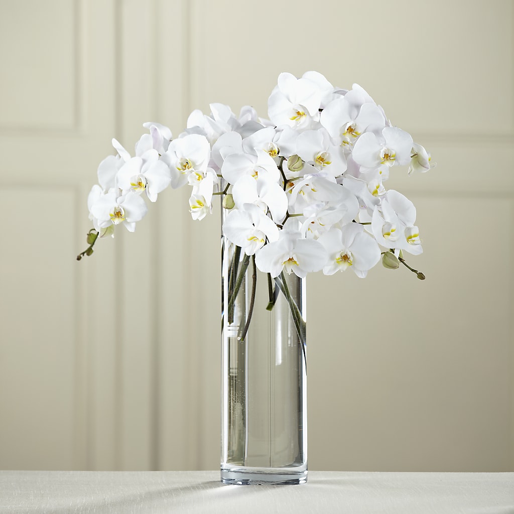 White Phalaenopsis Bouquet – Day Dream Bokay Llc, Jonesborough TN
