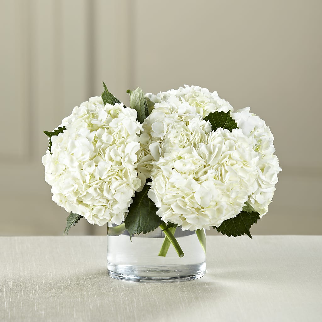 White Hydrangea Bouquet – Day Dream Bokay Llc, Jonesborough TN