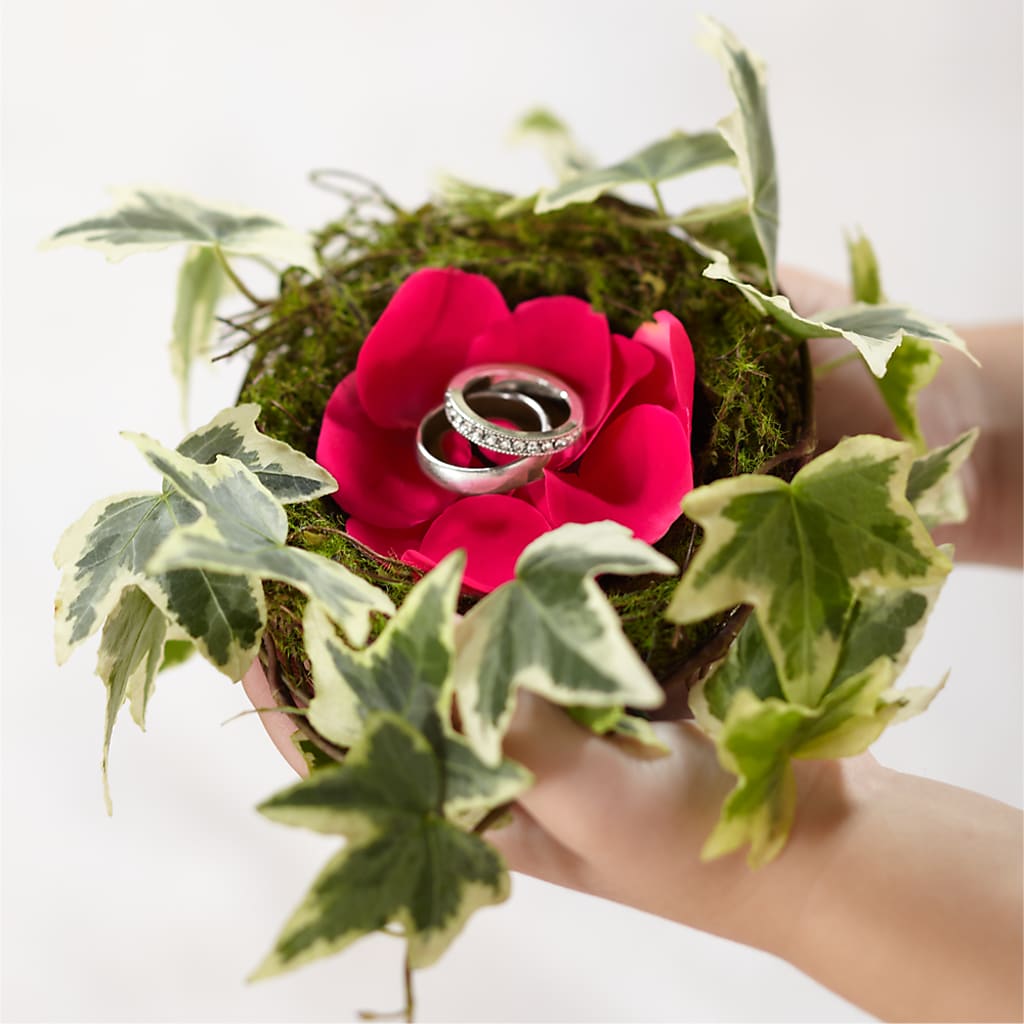 Lila Rose Ring Nest – Day Dream Bokay Llc, Jonesborough TN