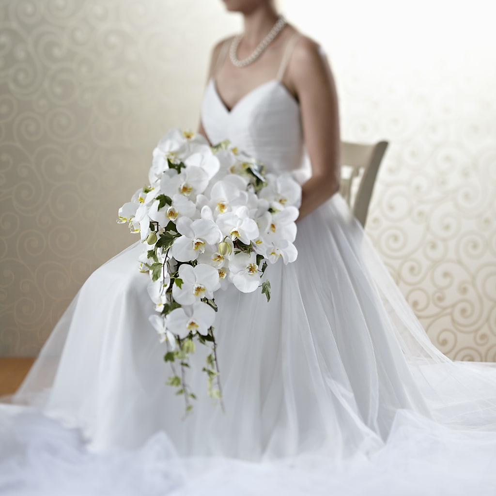 Classic White Bouquet – Day Dream Bokay Llc, Jonesborough TN