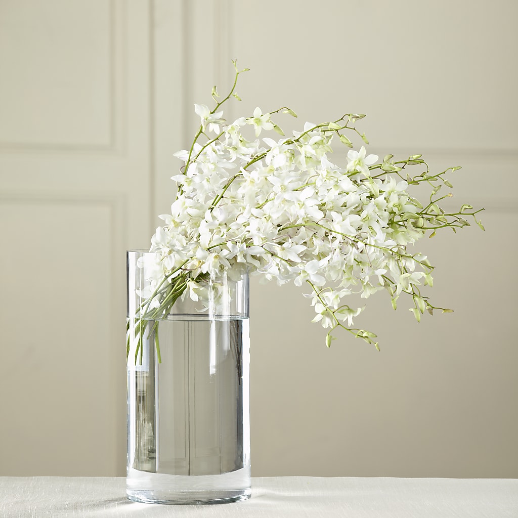 White Dendrobium Bouquet – Day Dream Bokay Llc, Jonesborough TN