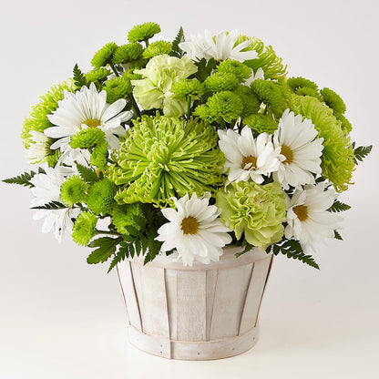 Lucky Charm Basket (Standard) –  Day Dream Bokay Llc, Jonesborough TN