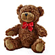 Adorable Plush Bear –  Day Dream Bokay Llc, Jonesborough TN