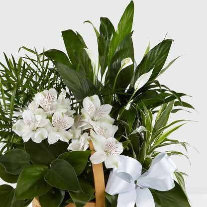 Peace & Serenity Dishgarden –  Day Dream Bokay Llc, Jonesborough TN