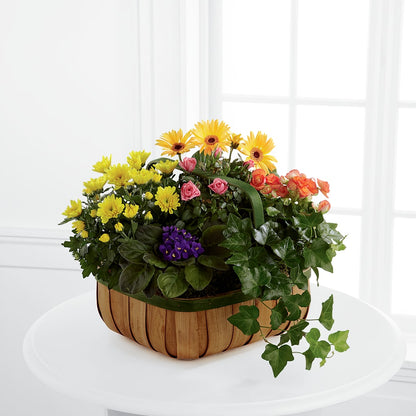 Gentle Blossoms Basket –  Day Dream Bokay Llc, Jonesborough TN