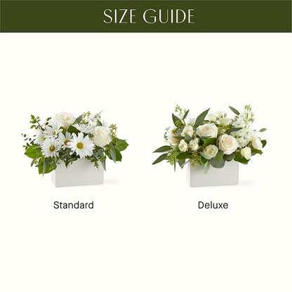 Fresh Linen Box Bouquet –  Day Dream Bokay Llc, Jonesborough TN