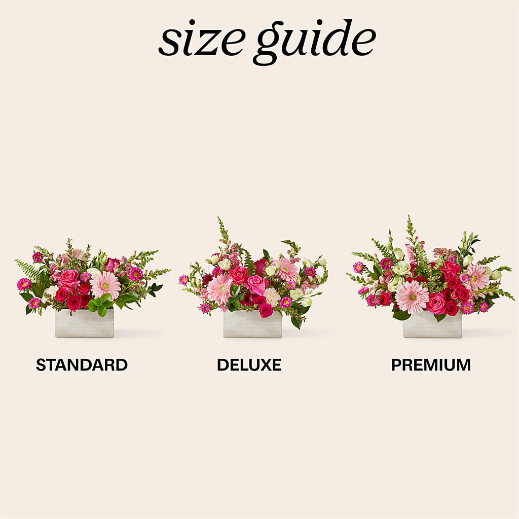 Too Cute Bouquet –  Day Dream Bokay Llc, Jonesborough TN
